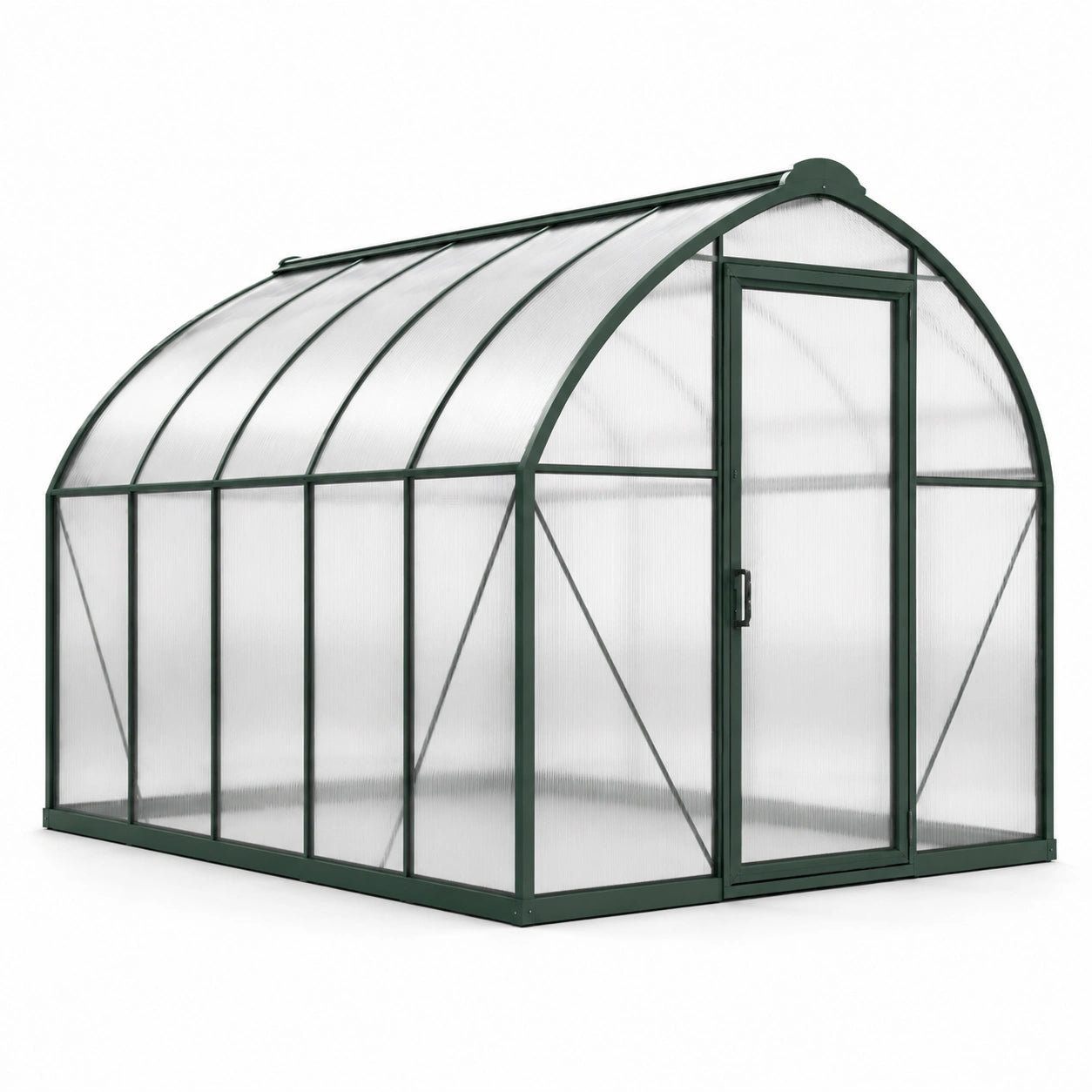 Serre en aluminium avec panneaux en polycarbonate transparent 200x300x200 cm vert